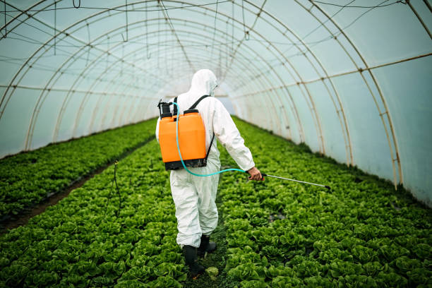Best Affordable Pest Control Services  in Pageland, SC