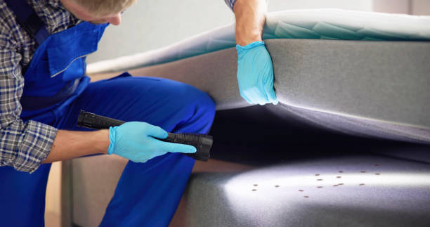 Best Bed Bug Extermination  in Pageland, SC