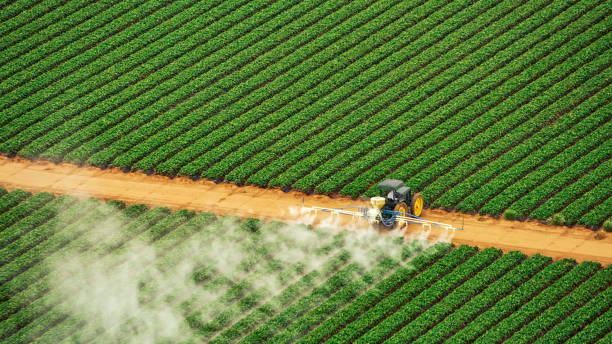 Best Pest Inspection Near Me  in Pageland, SC