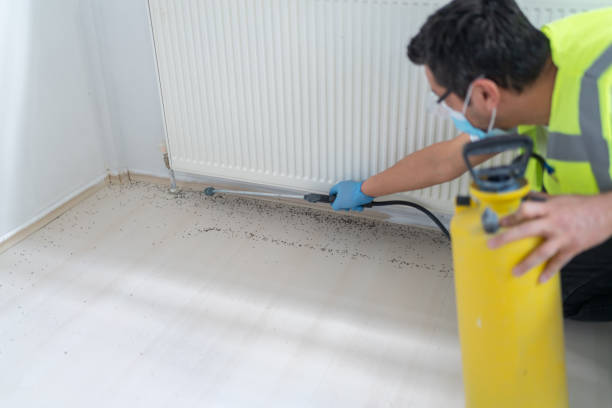 Best Exterminator Services  in Pageland, SC