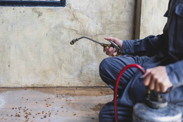 Best Emergency Pest Control  in Pageland, SC